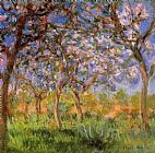 Springtime Paintings - Giverny in Springtime by Claude Monet